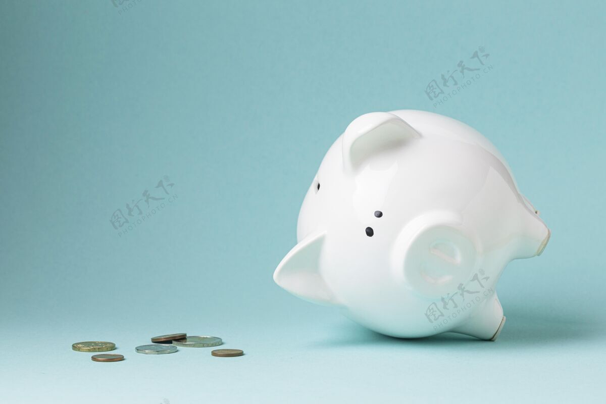 金融金融元素与白色小猪银行银行投资战略