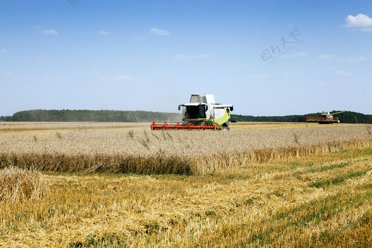 联合收割机农业领域里的收割机收割谷物玉米稻草环境