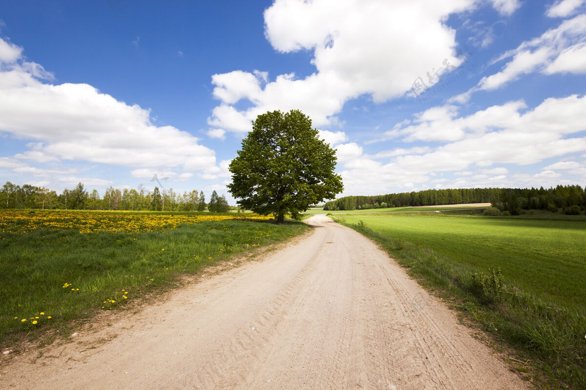 自由路 位于春天的乡间滚动步行速度