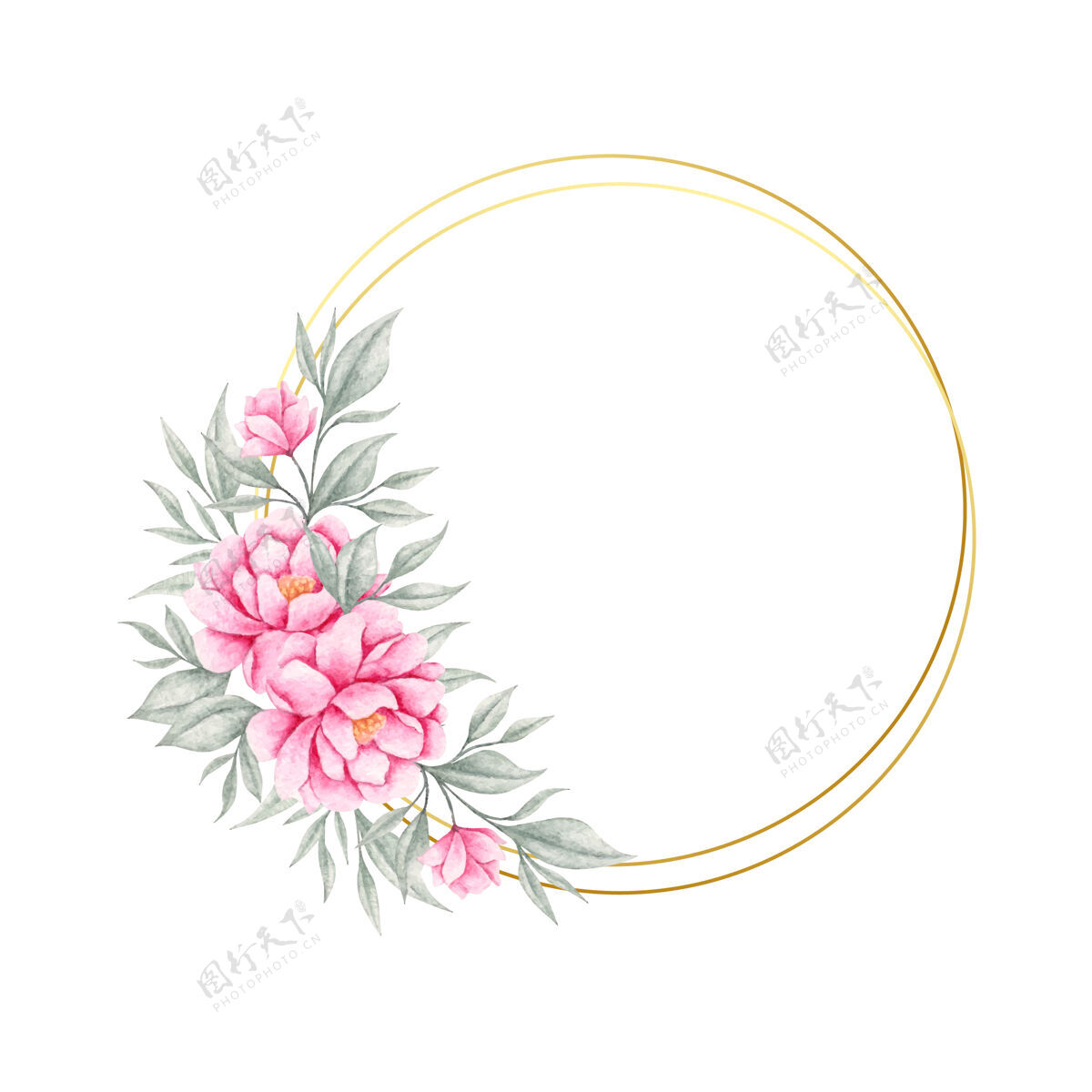 花朵美丽的粉红色花和叶子框架水彩手绘圆圈