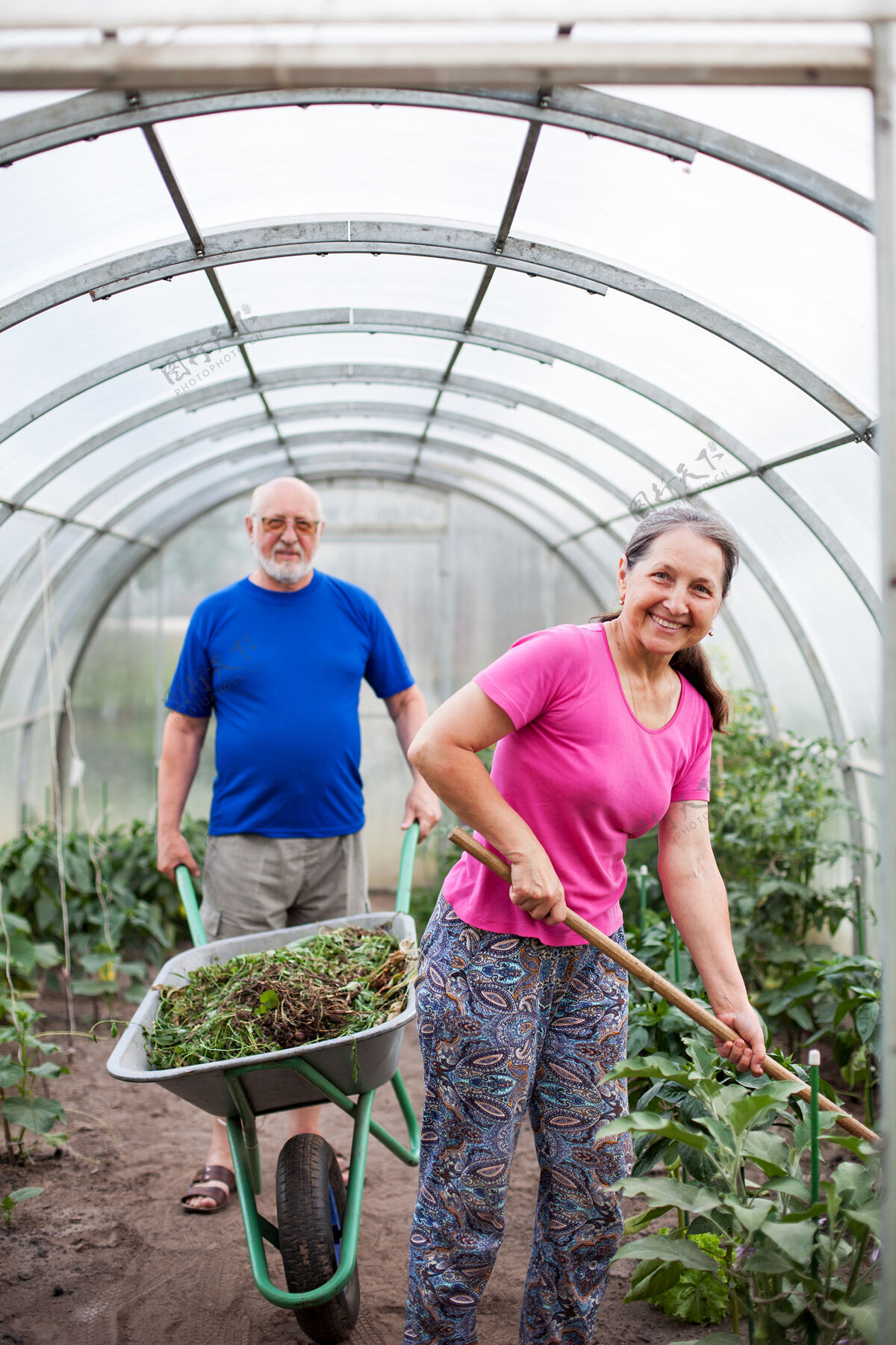 女人两位老人在温室里用花园的配件妻子退休丈夫
