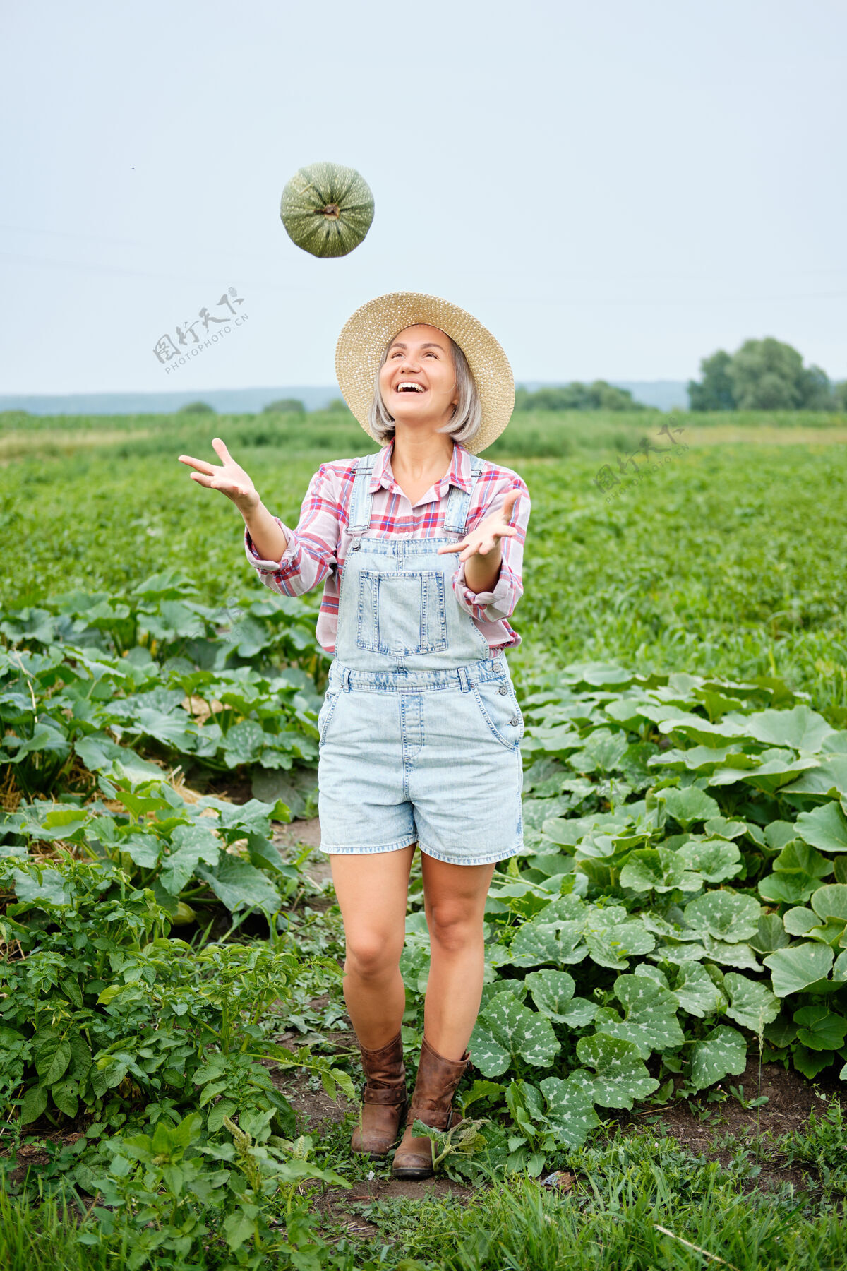 女性在植物上拿着新鲜绿色南瓜的女人田野美丽在阳光明媚的温暖天气里 一个拿着健康蔬菜食品的小女孩站在农场上日间栽培纯素文化有机自然产品生长美食吃