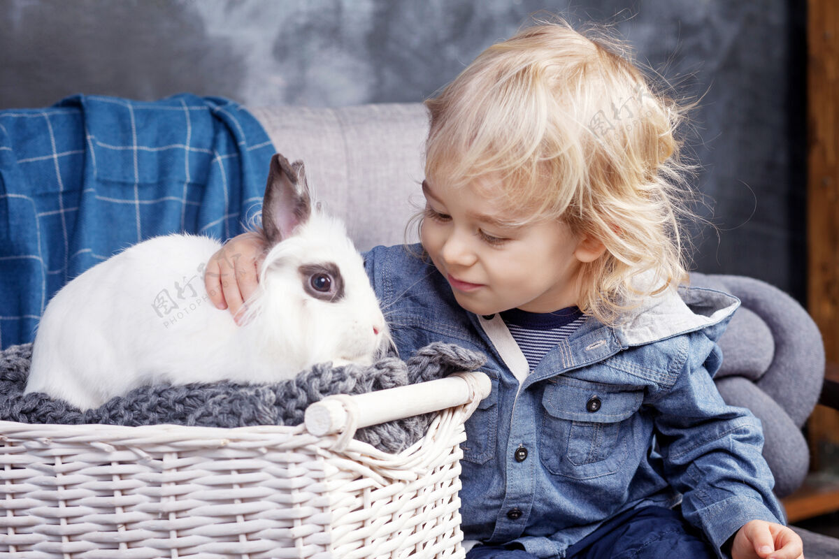 孩子可爱的小男孩和一只白色的小狗玩耍兔子男孩看着一只兔子春天美丽房间