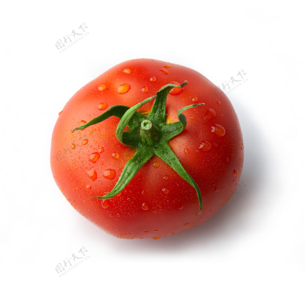 蔬菜西红柿单滴滴有机生