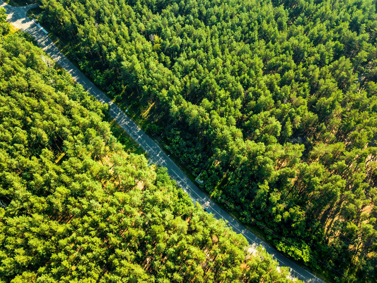 环境阳光明媚的森林里 一辆过往的汽车穿行在绿叶丛中自然日保护概念.天线将无人机视为自然布局季节乡村收割台