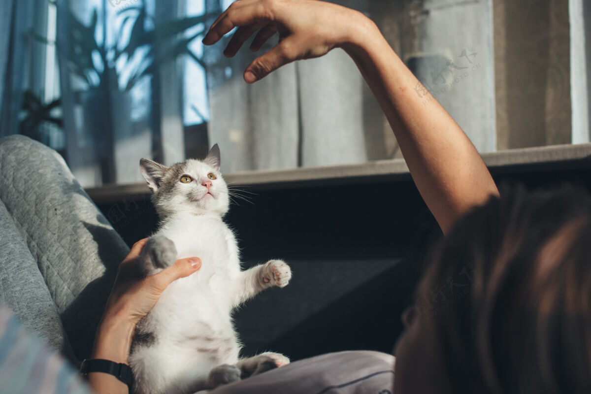 可爱一位白人妇女和她的猫在沙发上玩 用手指着那只动物玩耍宠物房子
