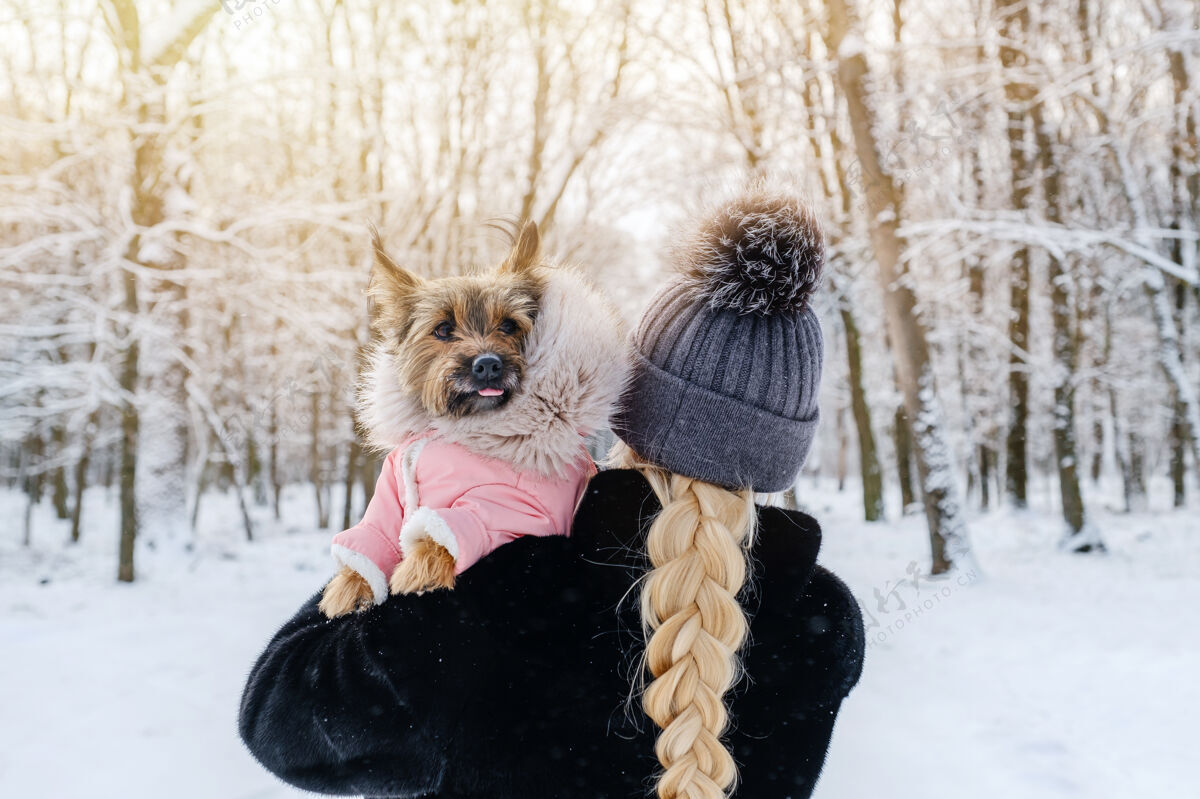 狗在冬季公园遛狗的不可辨认的女人服从季节森林