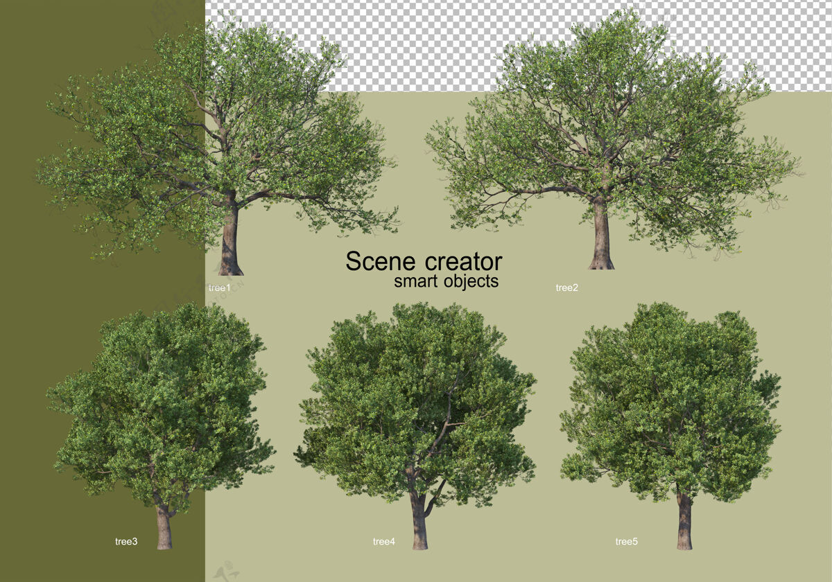 自然各种树木的3d渲染隔离树叶植物