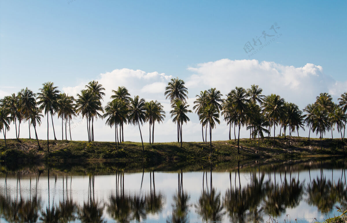 宁静热带景观 椰子树倒映在湖中泻湖美丽环境