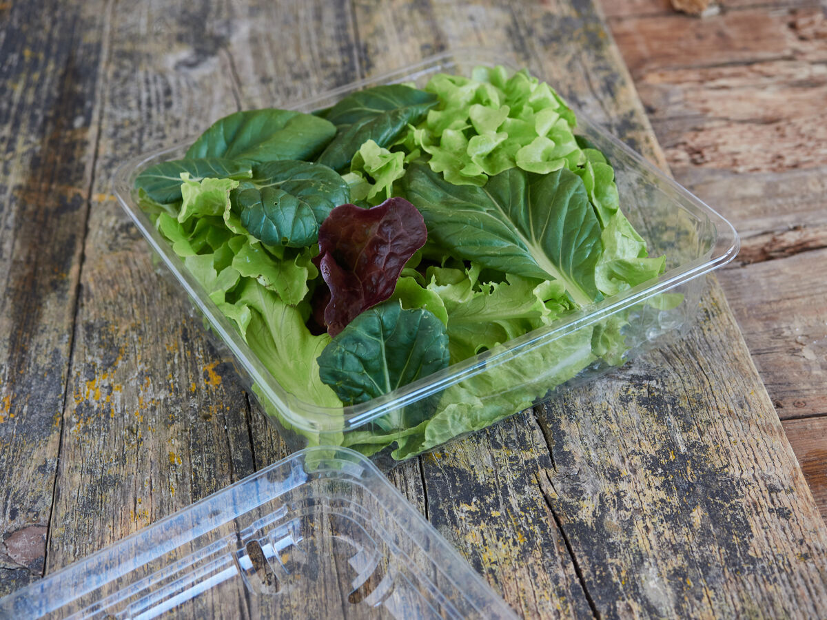 沙拉在木制表面的塑料包装上带走沙拉一次性健康生菜