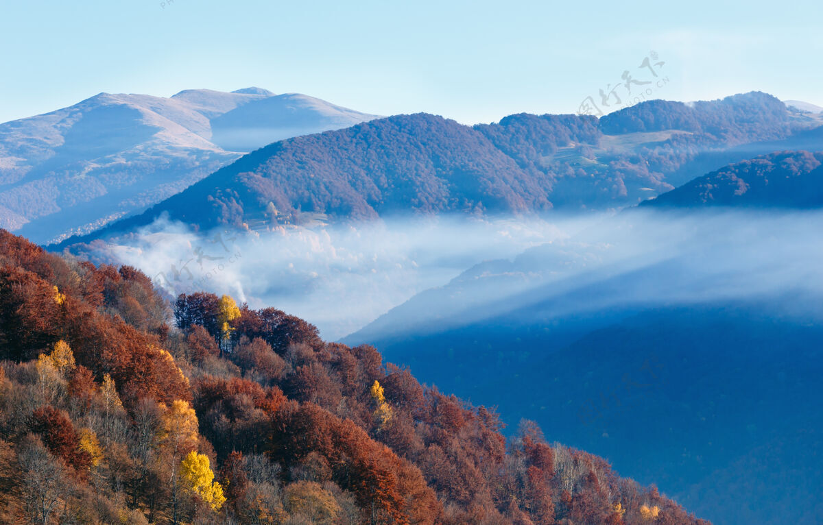 风景秋天的山坡上有五颜六色的森林 山峰之间有云朵山阿尔卑斯山森林