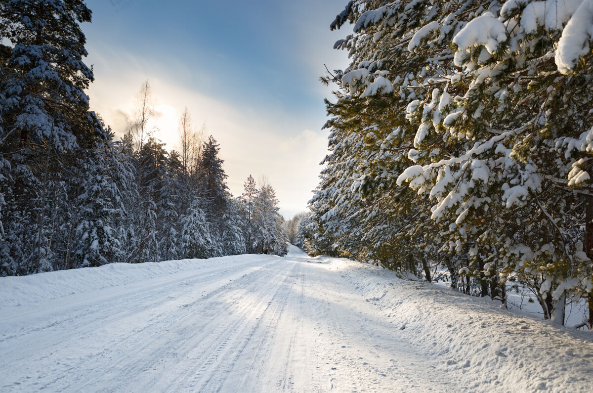 道路冬天的路有凉爽的日落和雪警告季节森林