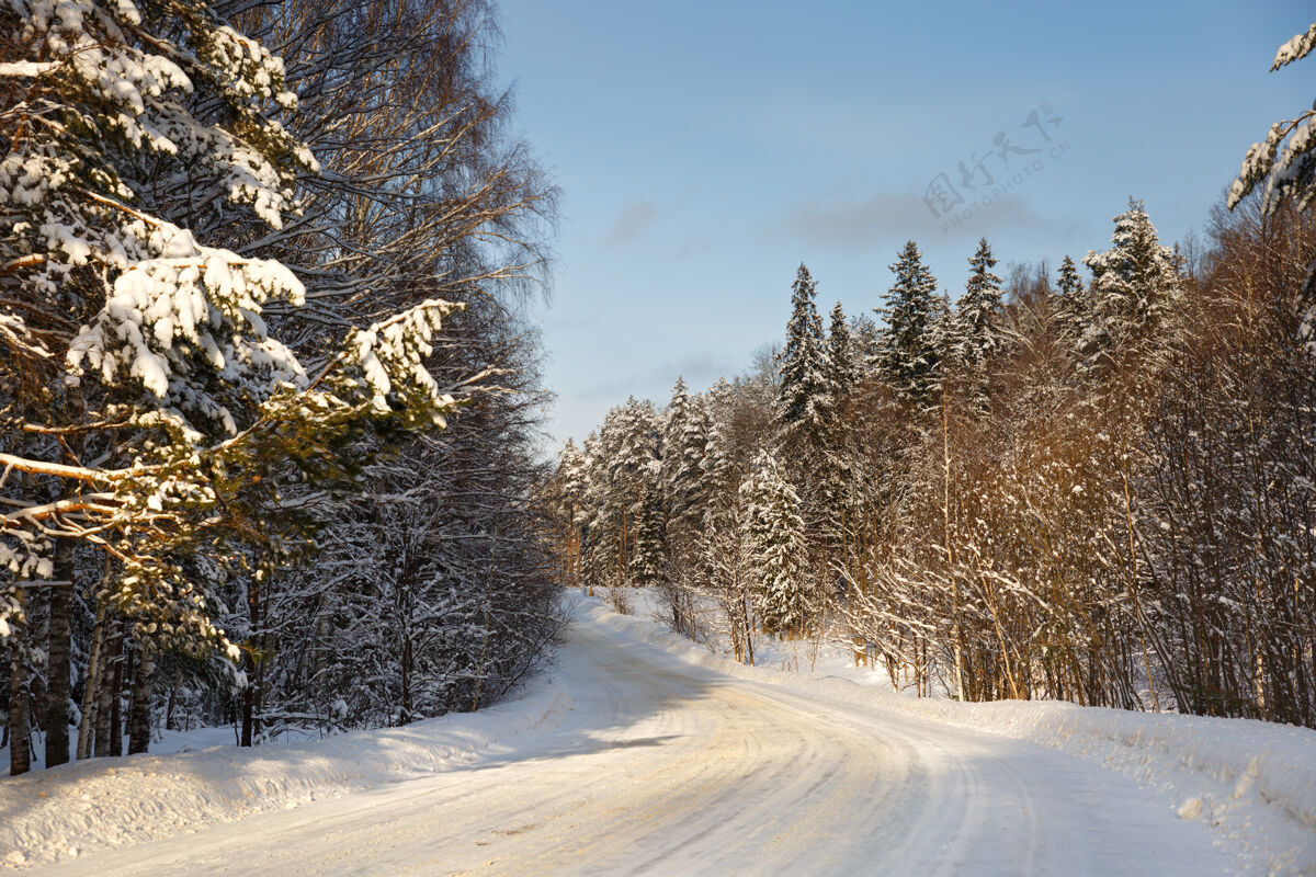 道路危险 在结冰的雪路上快速转弯季节森林木材
