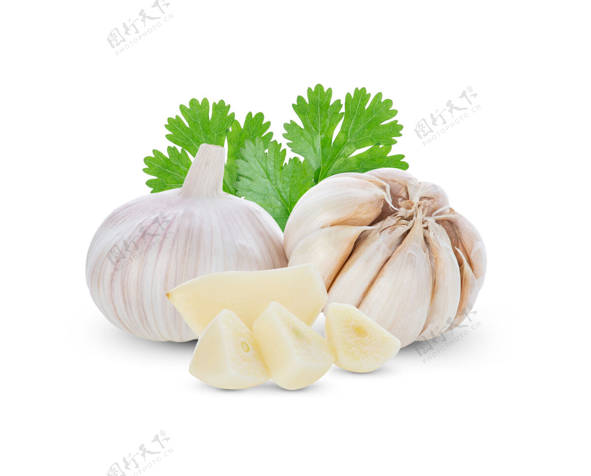大蒜大蒜和香菜叶隔离在白色新鲜美味欧芹