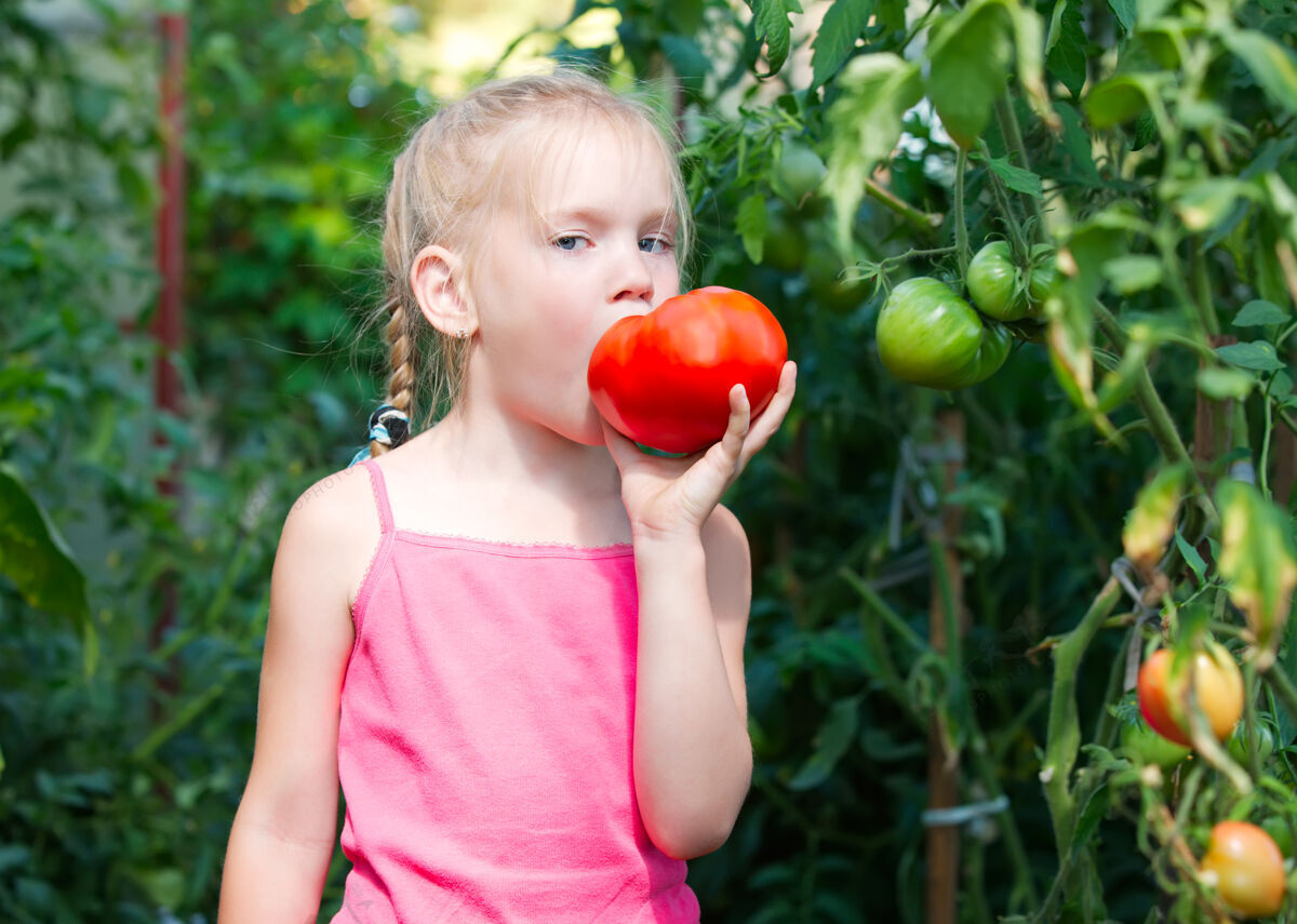 儿童孩子在花园里吃西红柿番茄农业自然