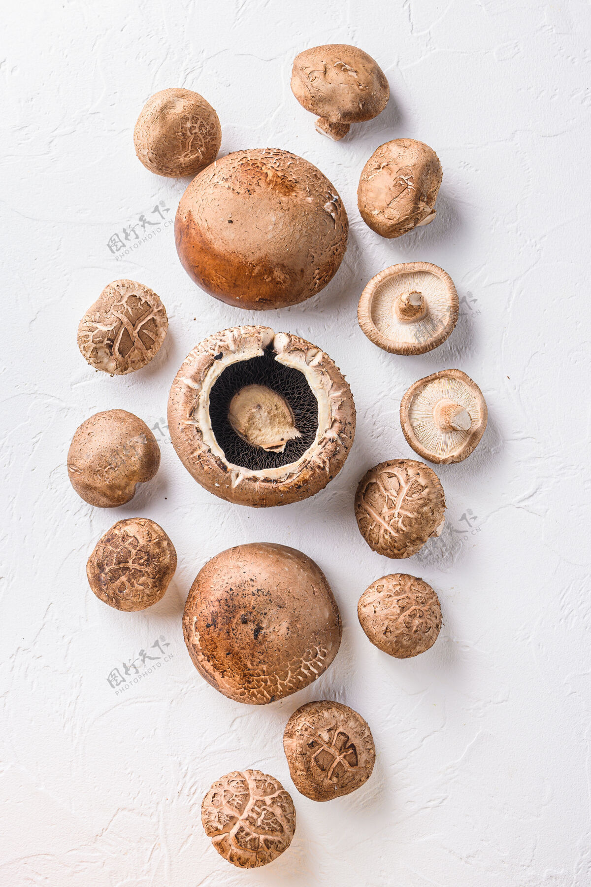 日本白桌子上放着香菇和香菇顶视图中国真菌香菇