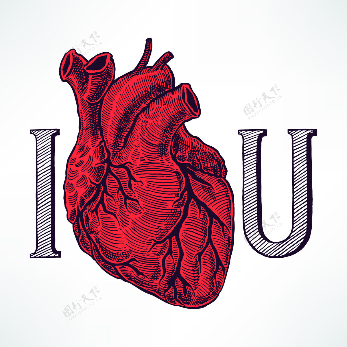 意我爱你用美丽的人心来诠释浪漫瓣膜心脏病学