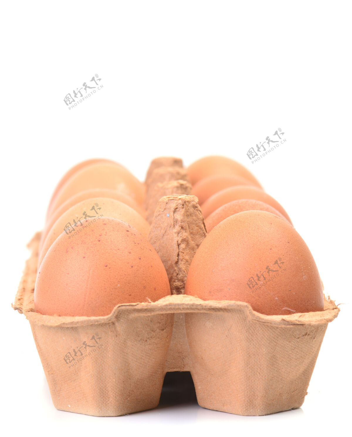 蛋清新鲜的鸡蛋支架椭圆形正面
