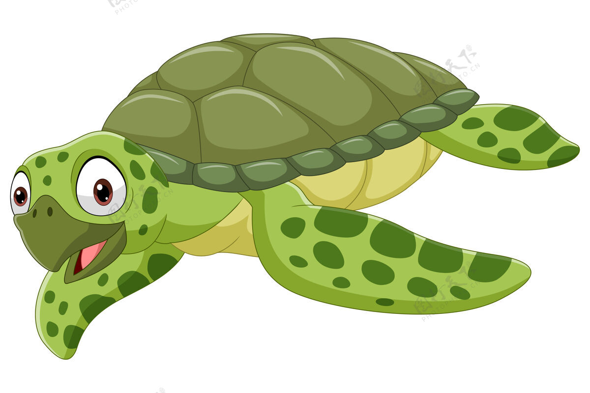 海龟卡通海龟海龟爬行动物卡通