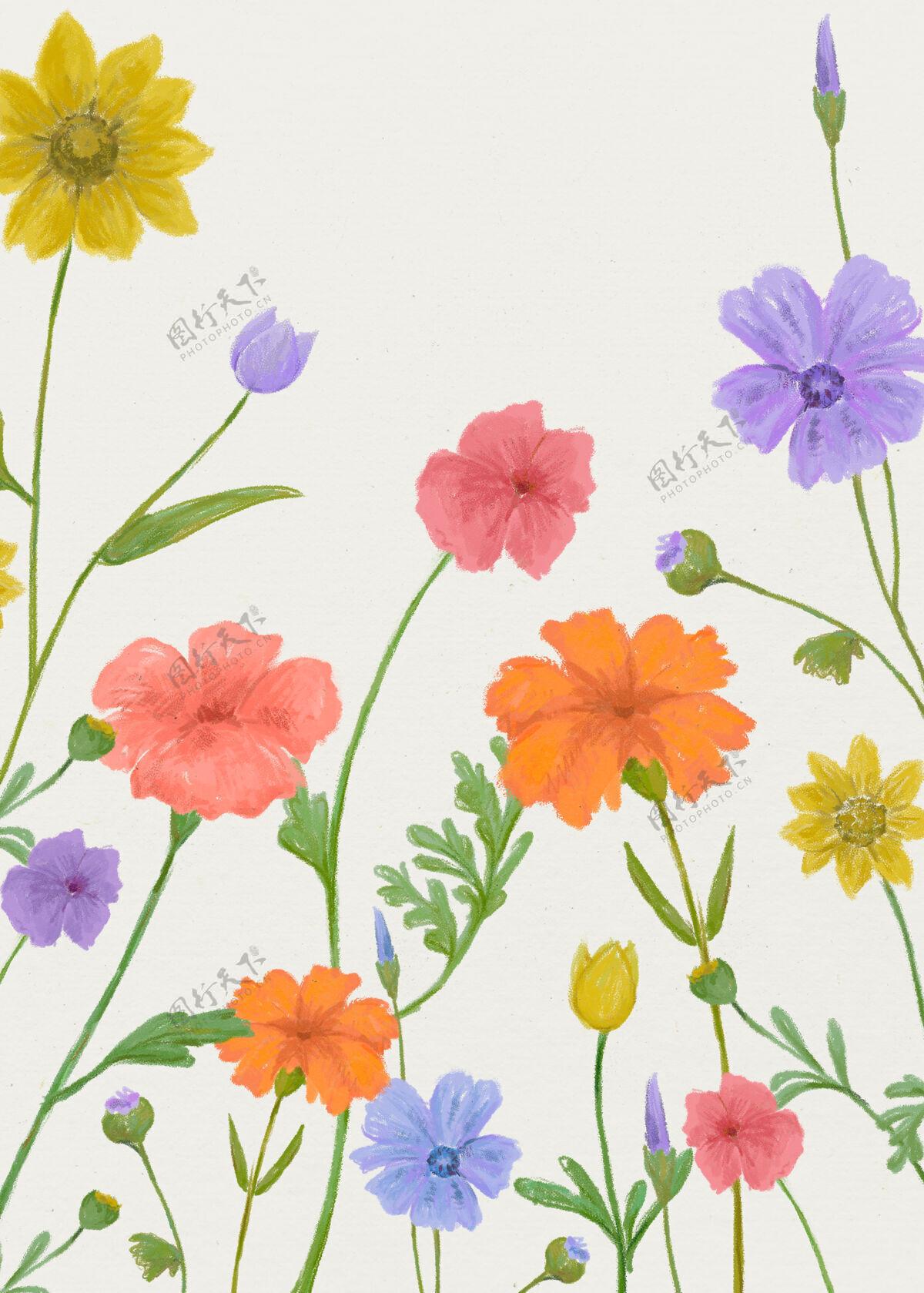 春天夏季花卉图案背景 色彩欢快海报明亮多彩雏菊