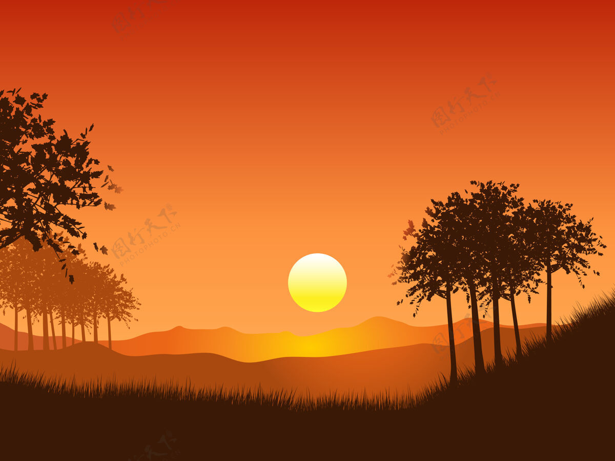 抽象日落的天空衬托着绿树成荫的景色草木日落