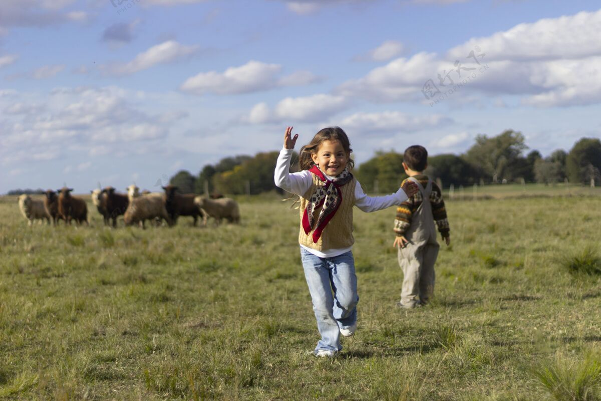 羊群全镜头的孩子和绵羊农场生活乡村绵羊