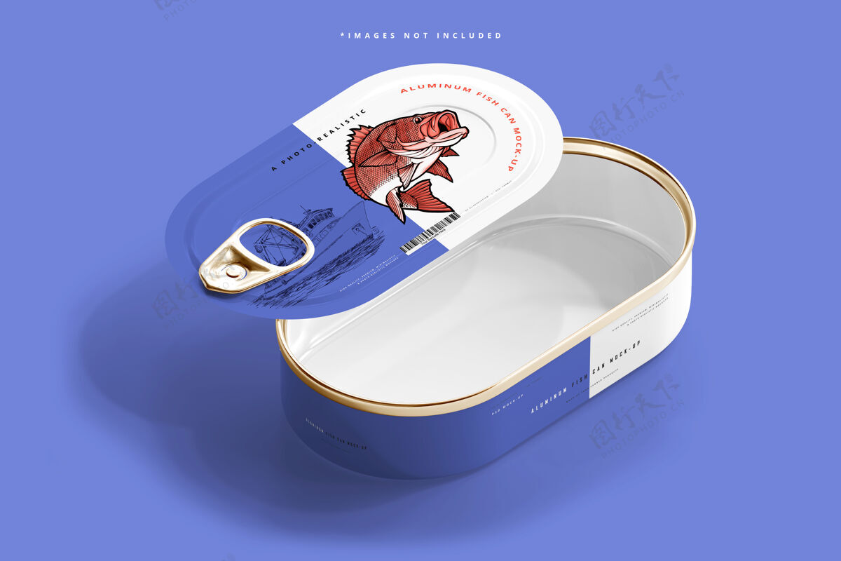 罐头铝鱼可以模拟膳食实体模型锡