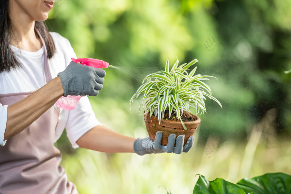 生态在夏日阳光明媚的日子里 美丽的年轻女子在花园里给树浇水在夏日自然中 女子在户外园艺农耕 园艺 农业和人的概念女性工作生物