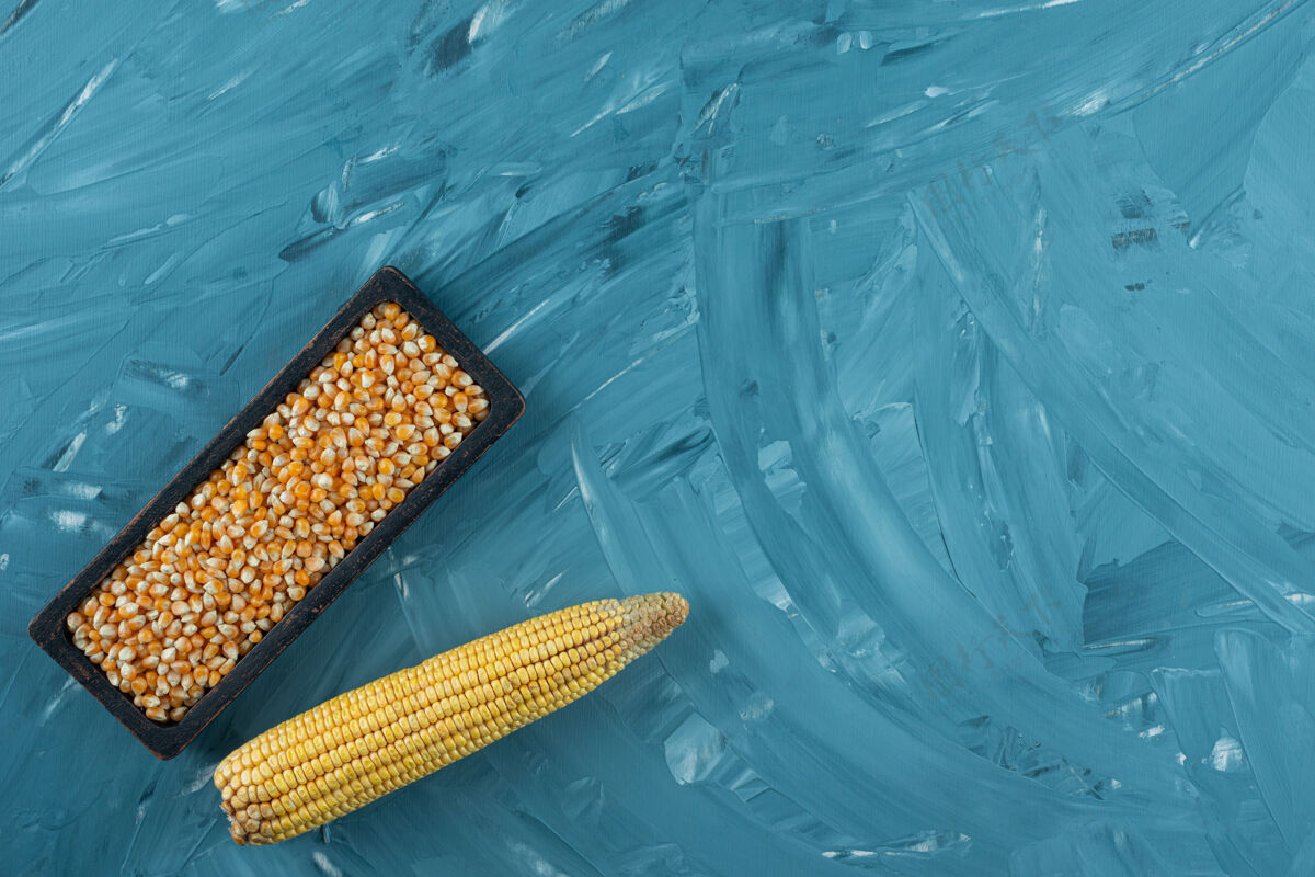 背景蓝色背景上的黑玉米粒有机蔬菜玉米