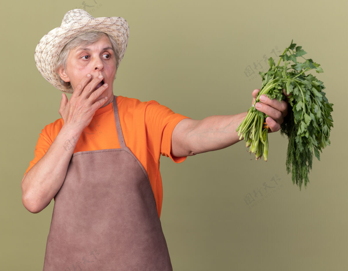 女焦虑的上了年纪的女园丁戴着园艺帽 手放在嘴上 手里拿着橄榄绿上的一束香菜莳萝花园焦虑串