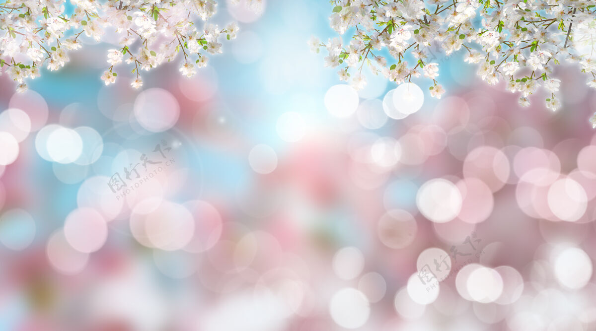 花模糊的樱花与波基灯三维渲染灌木复活节草地