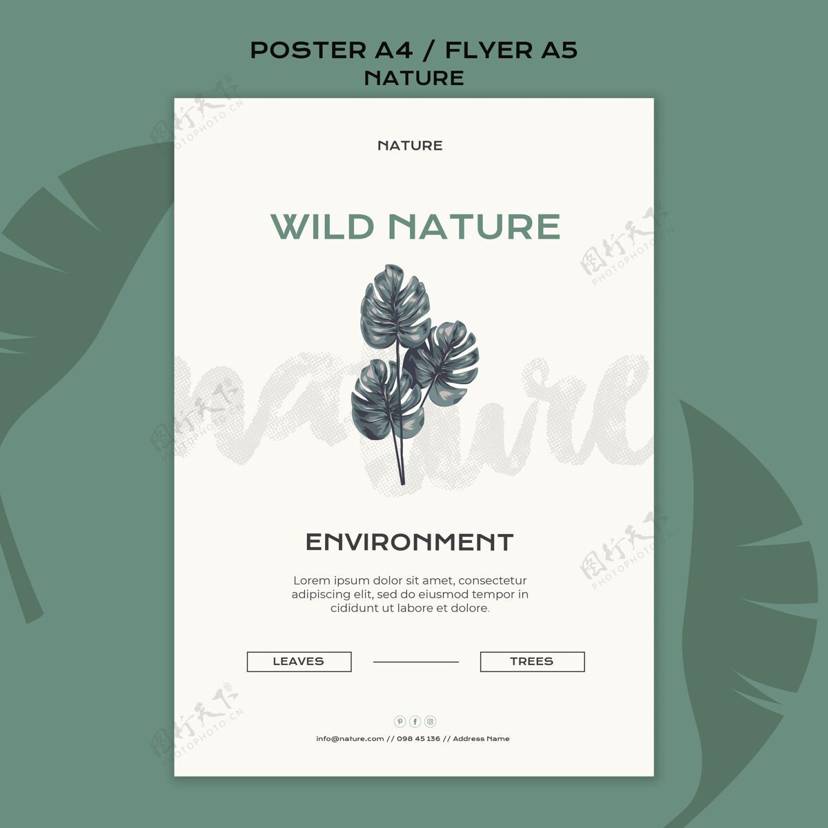 传单野生动物海报模板野生荒野印刷模板
