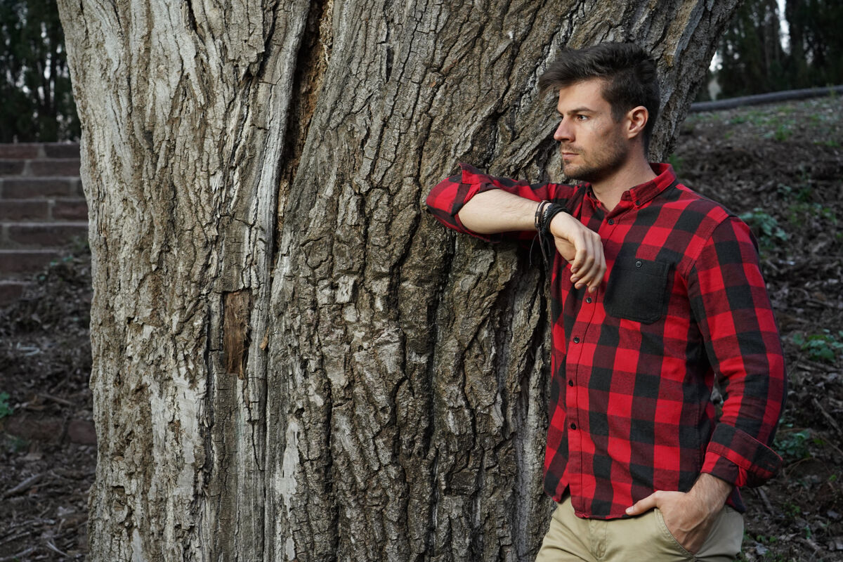 人美丽的镜头 一个迷人的年轻男子靠在一个古老的厚树与手自然外面木头