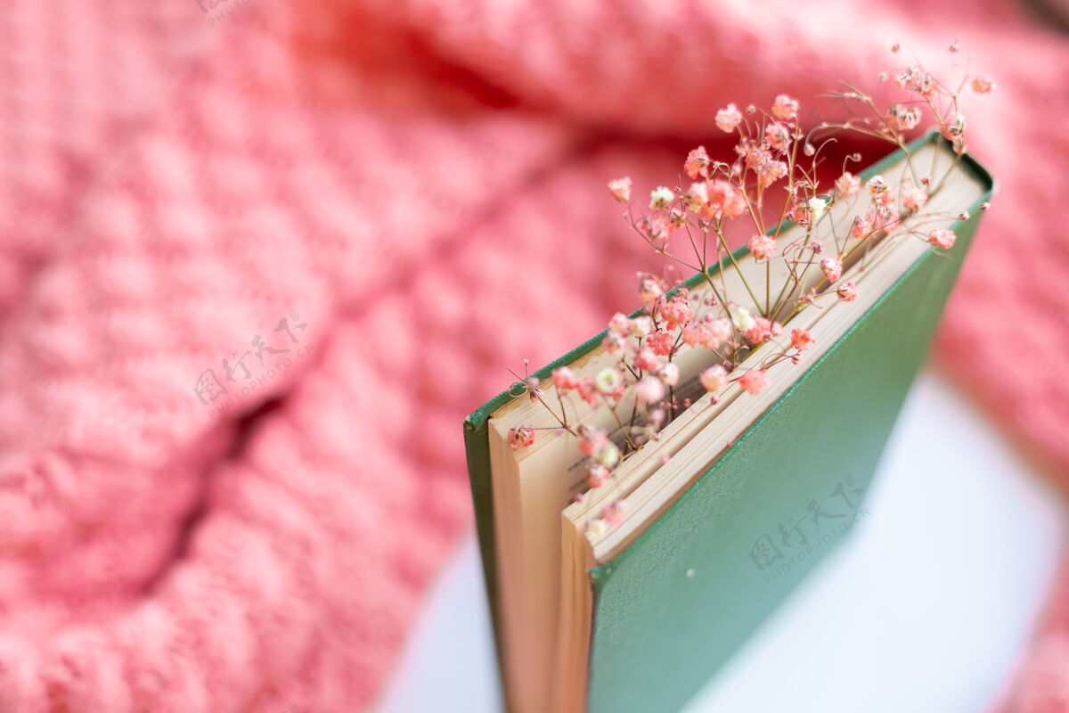 早晨一件粉色温暖的针织毛衣上有干花的绿皮书优雅学习故事