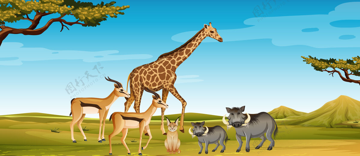 场景动物园里一群非洲野生动物的场景非洲生活哺乳动物