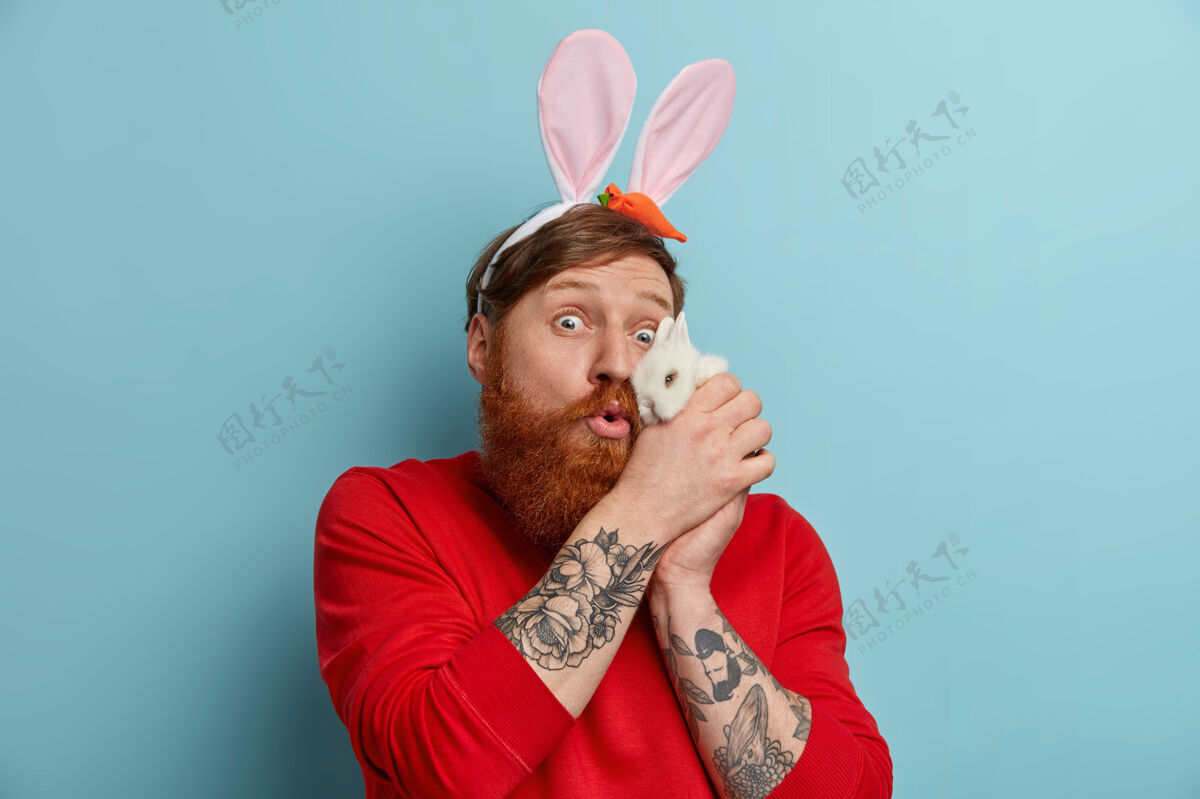 人类惊讶的红发男人把小动物放在脸旁 玩白兔 戴兔子耳朵 准备复活节前夜的化装舞会 对着蓝墙摆姿势春节假期生姜春天蓬松