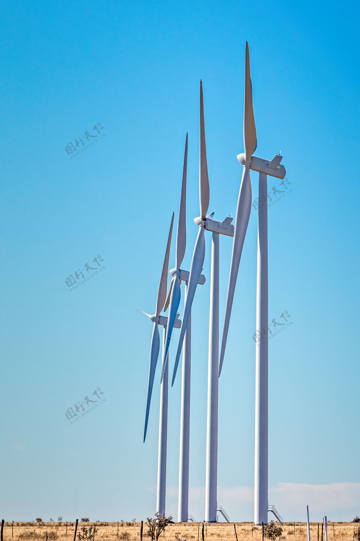 电力德克萨斯州的风电场温暖清洁风车
