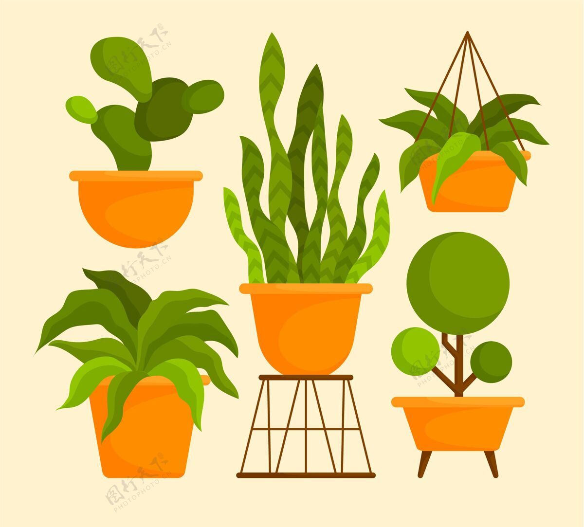 收集平房植物收藏室内植物收集室内植物绿化