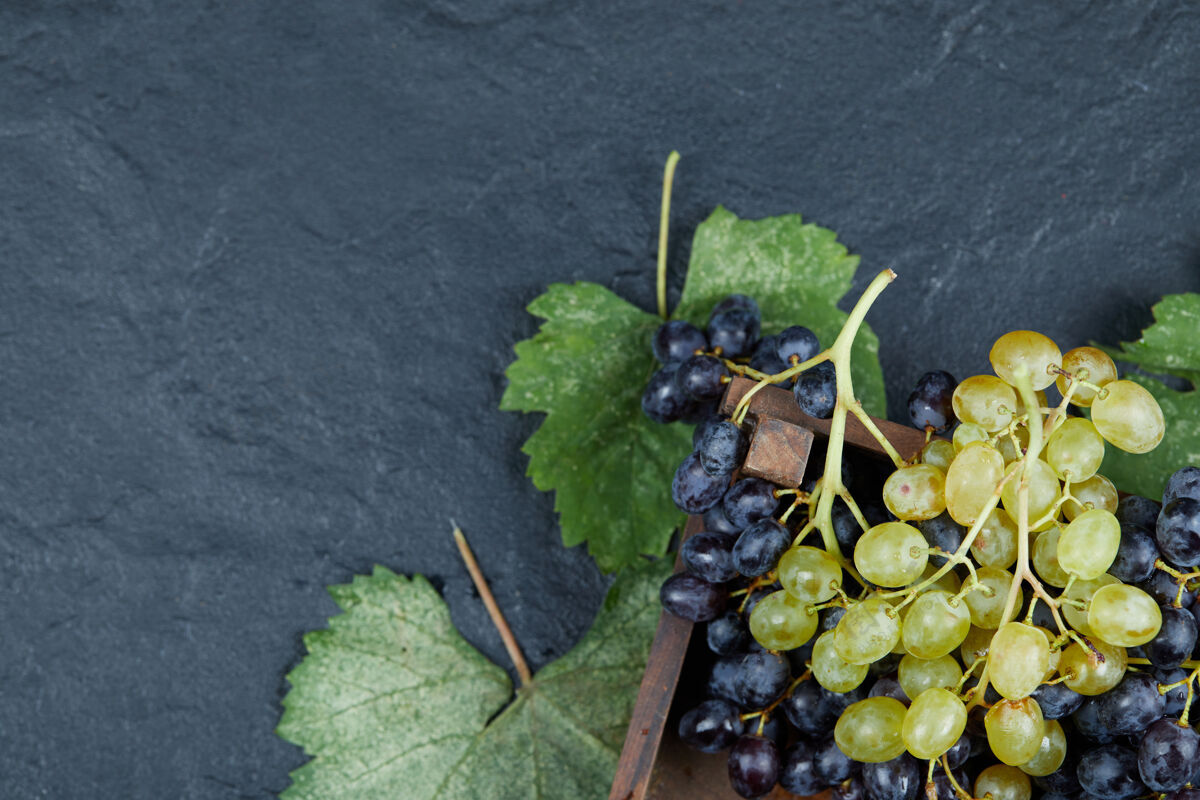 成熟黑葡萄和白葡萄的叶子在深色的背景上高质量的照片多汁叶子新鲜