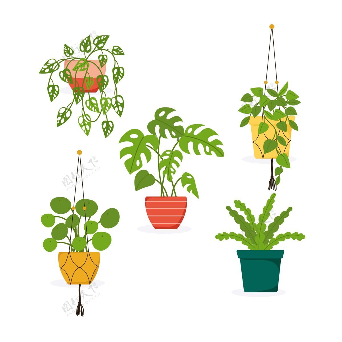 植物平房植物收藏设置自然盆栽