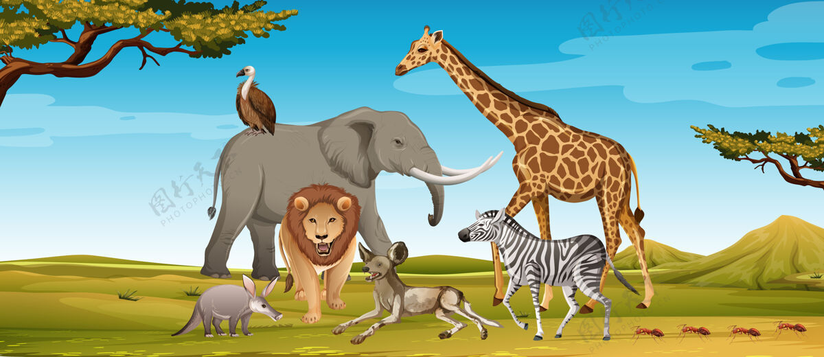 田野森林里的一群非洲野生动物活着动物公园