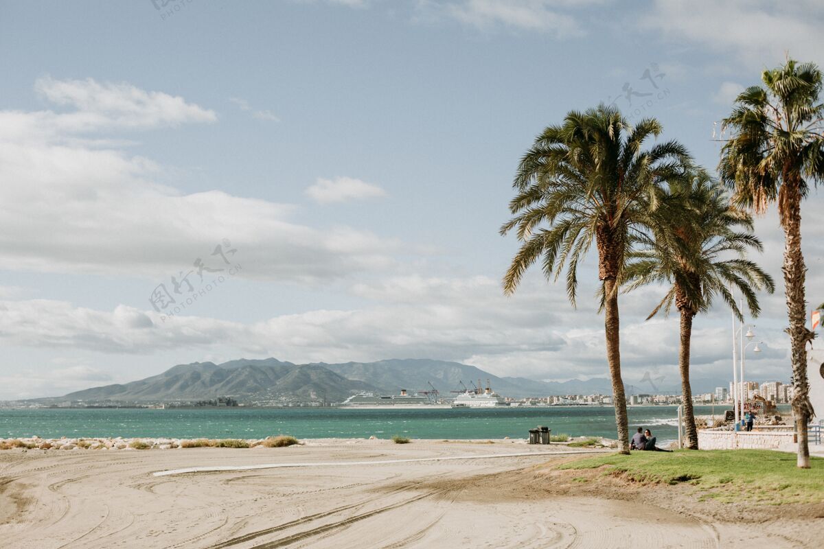 树木热带沙滩和棕榈树的美丽景色棕榈沙滩天空