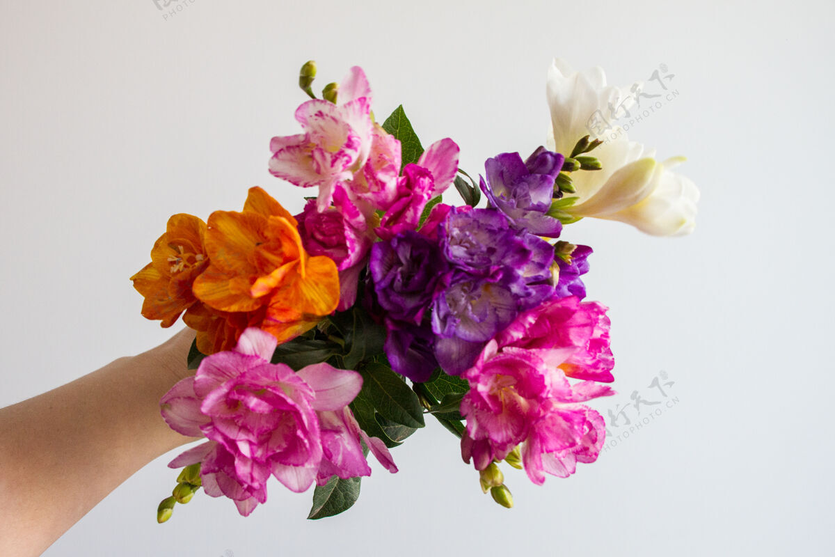 充满活力女手捧着一束美丽的五颜六色的花束明亮花花