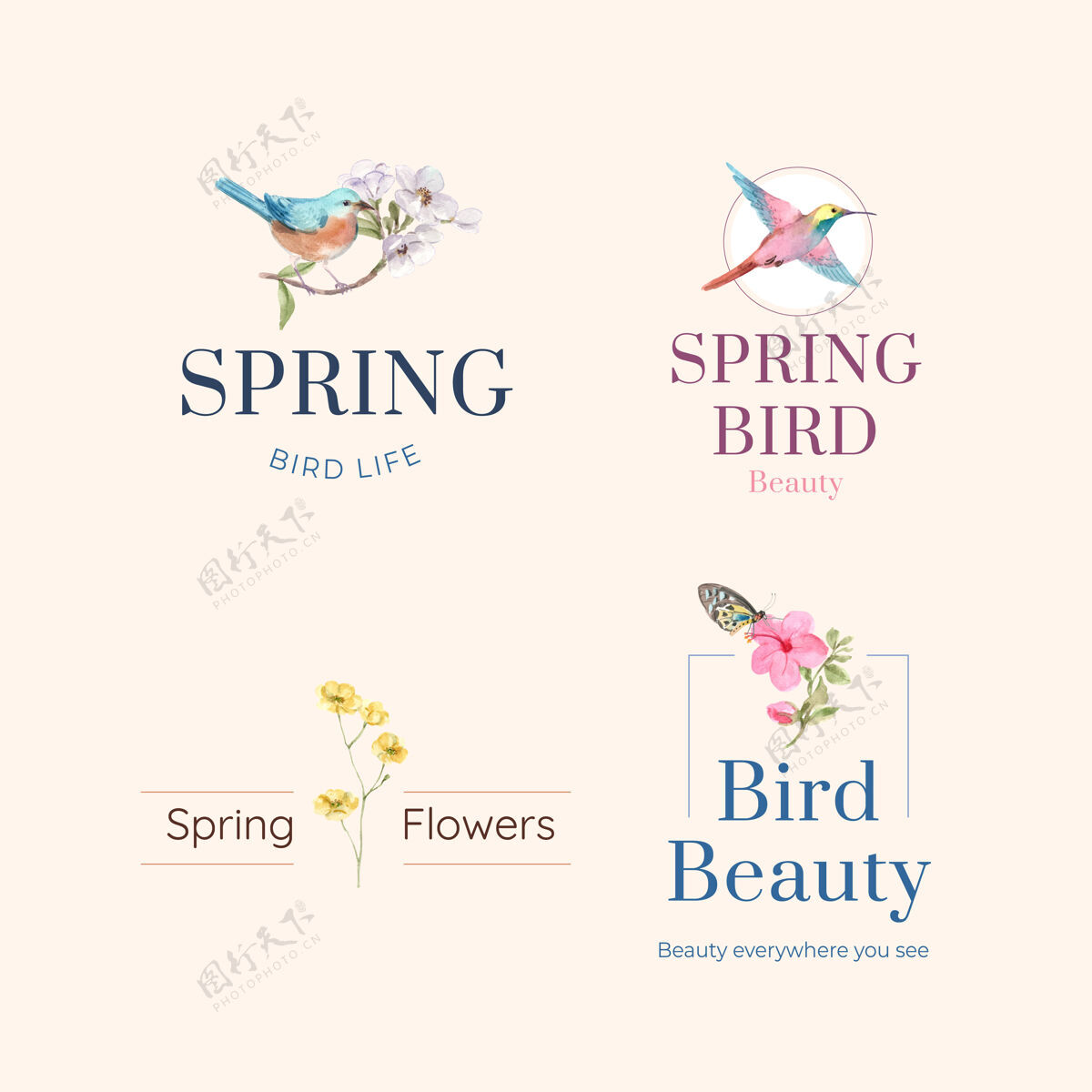 植物标志设计与鸟类和春天的概念品牌春天美丽