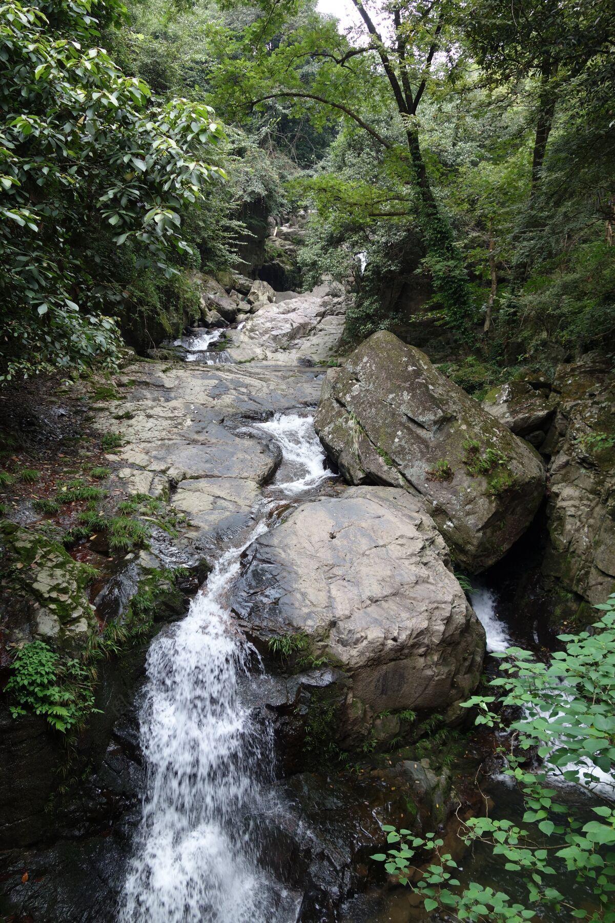 瀑布中国青苔石瀑岩石森林景观