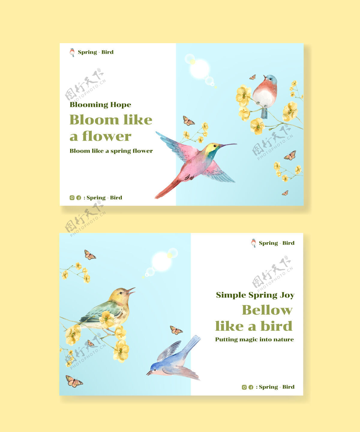 开花为社会媒体和社区水彩插画与春天和鸟的概念设计模板社交媒体营销树叶