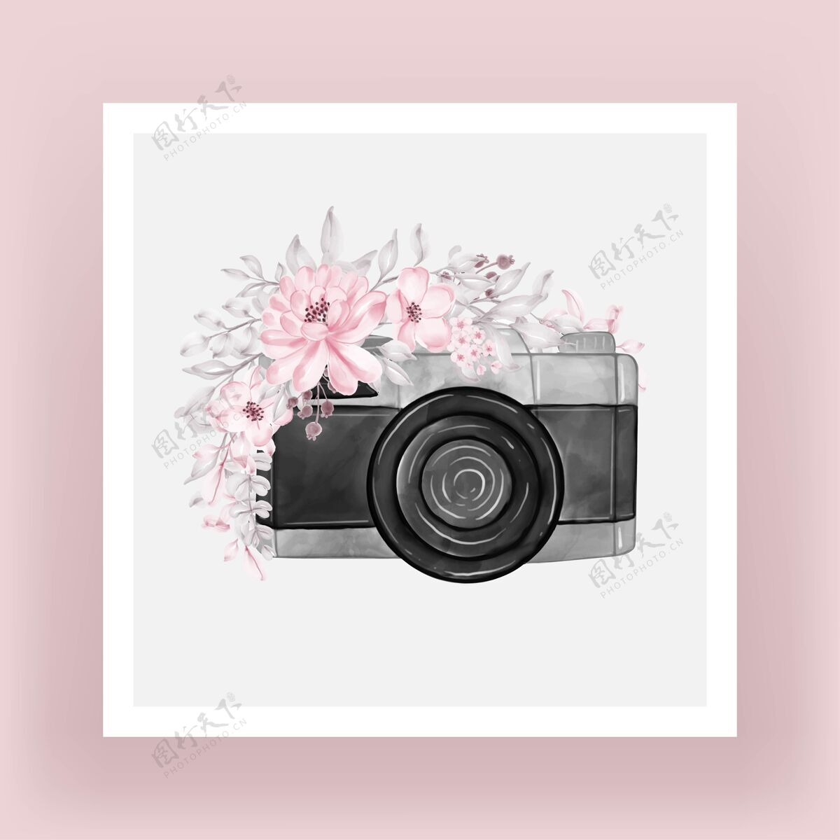 镜头带有浅粉色水彩花卉插图的相机玫瑰花园手