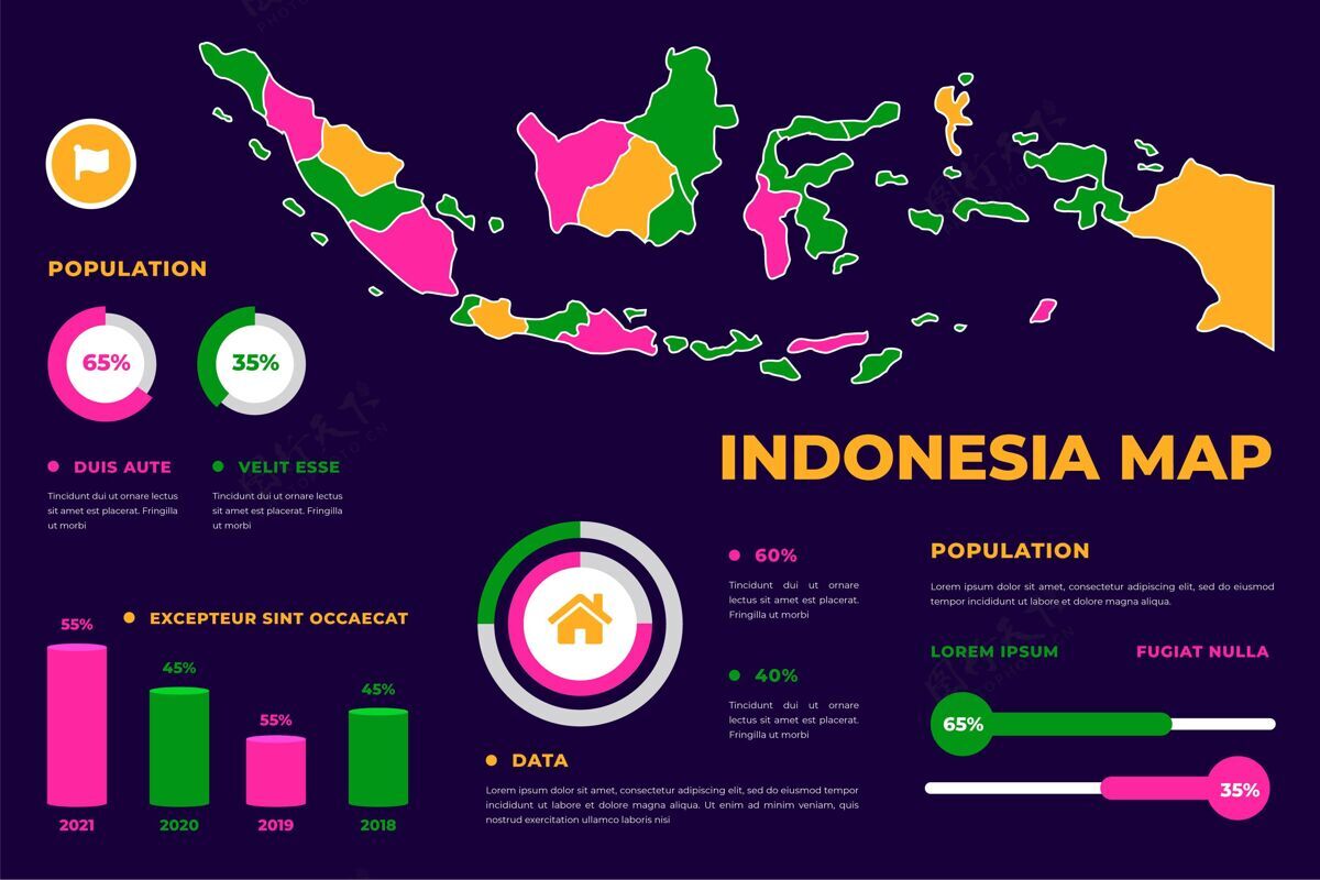 国家地图线性风格印尼地图信息图图形国家信息图