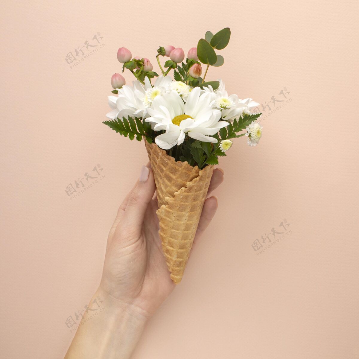 花朵鲜花冰淇淋蛋筒花朵花瓣平面图