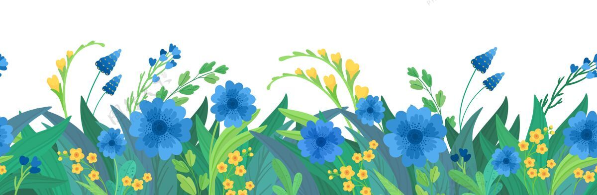 装饰花卉水平背景蓝色和黄色野花边框开花花夏天